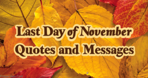 Last Day of November Quotes