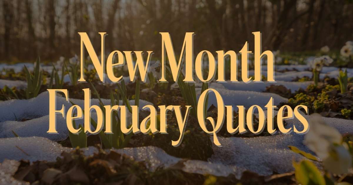 New Month February Quotes